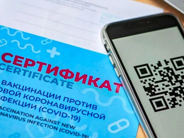 Проекты о QR-кодах на транспорте и в общественных местах внесены в Госдуму